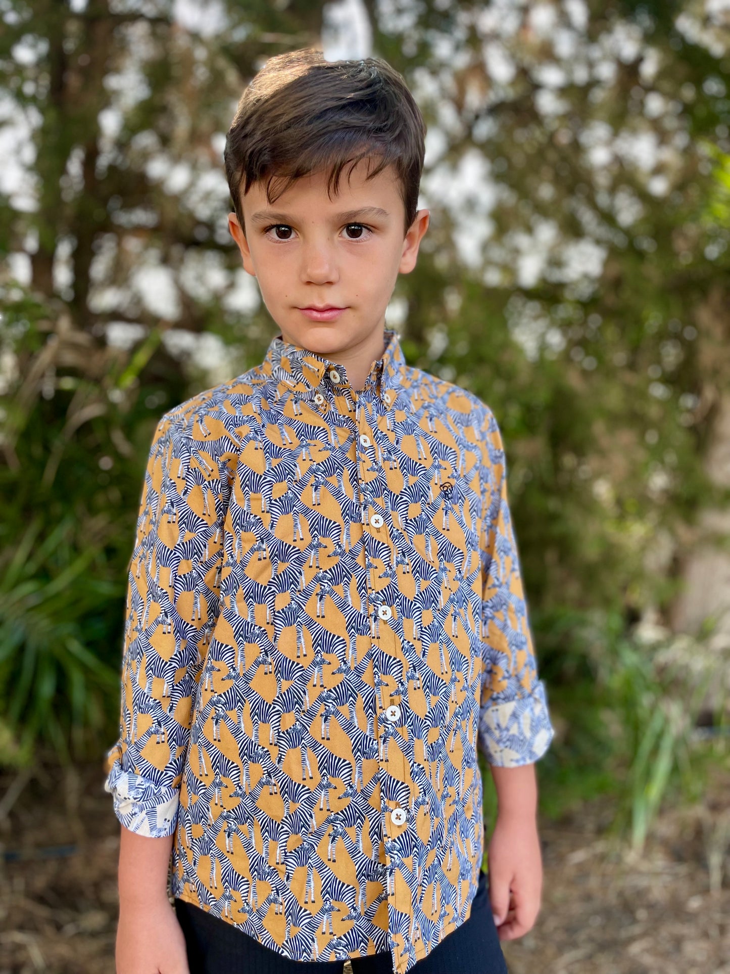 Camisa niño madagascar